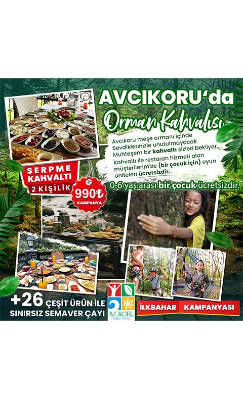 Grafik Tasarım