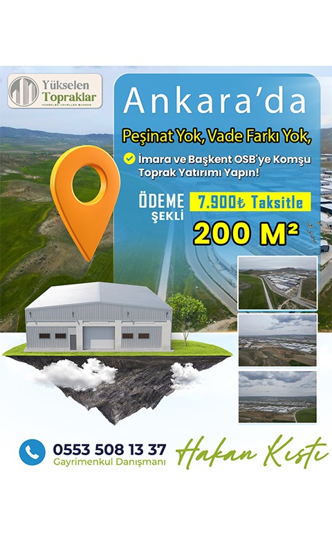 Grafik Tasarım