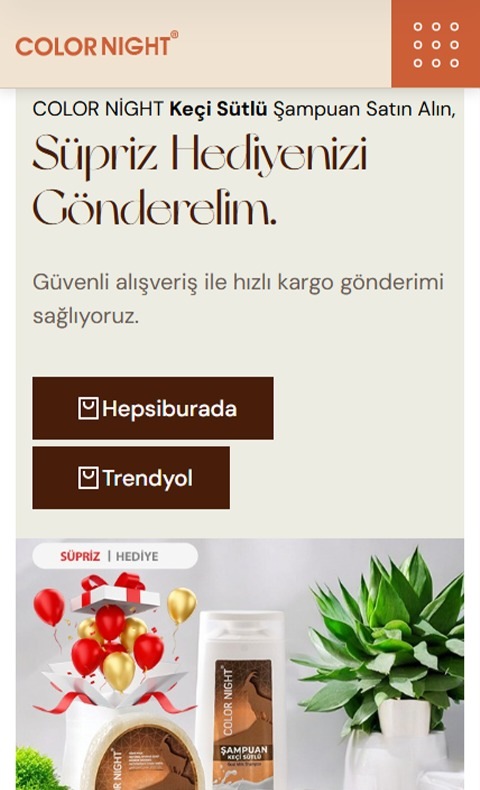 Web Tasarım & Yazılım